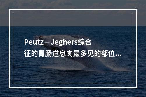 Peutz－Jeghers综合征的胃肠道息肉最多见的部位是