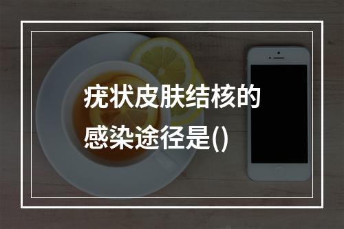 疣状皮肤结核的感染途径是()