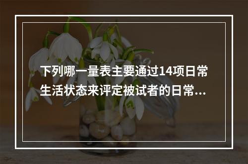 下列哪一量表主要通过14项日常生活状态来评定被试者的日常生活