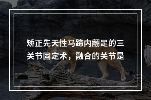 矫正先天性马蹄内翻足的三关节固定术，融合的关节是