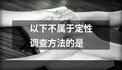 以下不属于定性调查方法的是