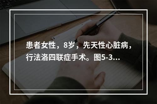 患者女性，8岁，先天性心脏病，行法洛四联症手术。图5-3为术