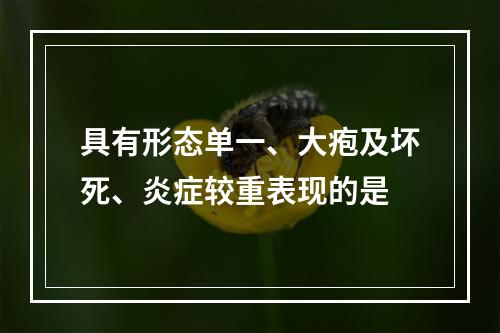 具有形态单一、大疱及坏死、炎症较重表现的是