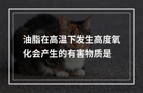 油脂在高温下发生高度氧化会产生的有害物质是