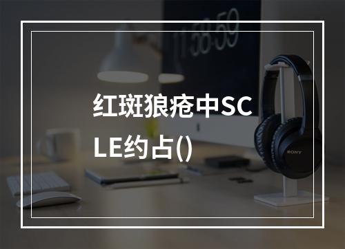 红斑狼疮中SCLE约占()