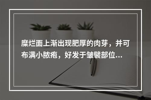 糜烂面上渐出现肥厚的肉芽，并可布满小脓疱，好发于皱襞部位的天