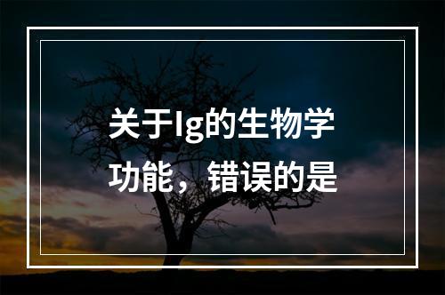 关于Ig的生物学功能，错误的是