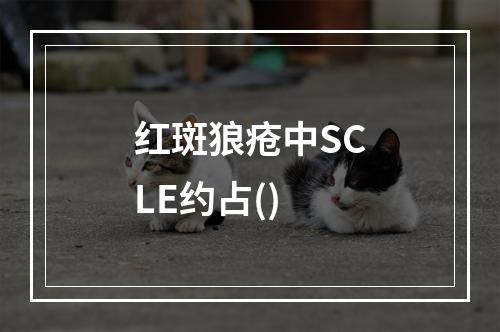 红斑狼疮中SCLE约占()