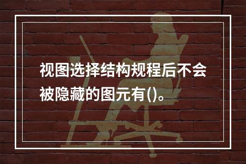 视图选择结构规程后不会被隐藏的图元有()。