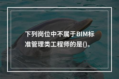 下列岗位中不属于BIM标准管理类工程师的是()。