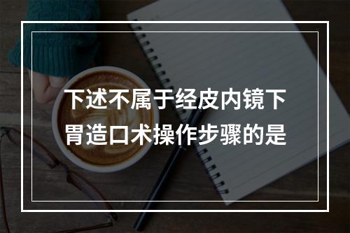 下述不属于经皮内镜下胃造口术操作步骤的是