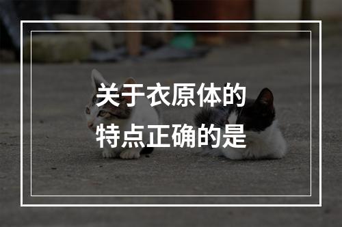 关于衣原体的特点正确的是