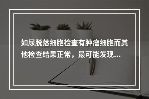 如尿脱落细胞检查有肿瘤细胞而其他检查结果正常，最可能发现病变