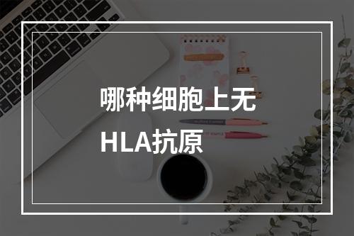 哪种细胞上无HLA抗原