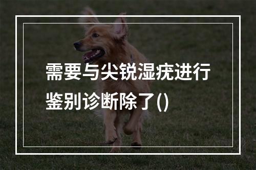 需要与尖锐湿疣进行鉴别诊断除了()