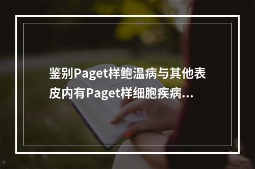 鉴别Paget样鲍温病与其他表皮内有Paget样细胞疾病（日