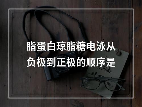 脂蛋白琼脂糖电泳从负极到正极的顺序是