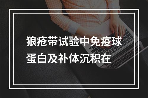 狼疮带试验中免疫球蛋白及补体沉积在