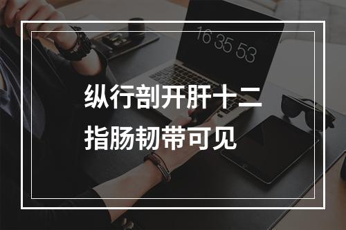 纵行剖开肝十二指肠韧带可见