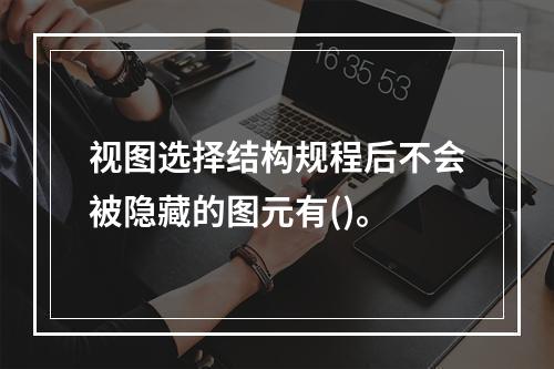 视图选择结构规程后不会被隐藏的图元有()。