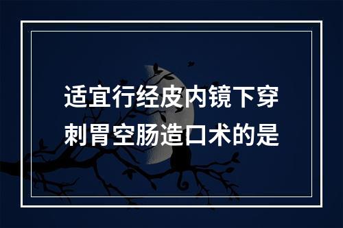 适宜行经皮内镜下穿刺胃空肠造口术的是