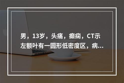 男，13岁，头痛，癫痫，CT示左额叶有一圆形低密度区，病灶呈