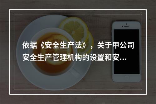 依据《安全生产法》，关于甲公司安全生产管理机构的设置和安全生