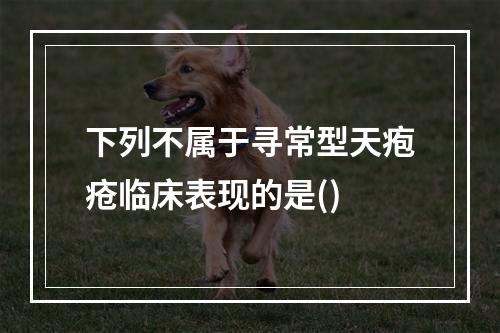 下列不属于寻常型天疱疮临床表现的是()