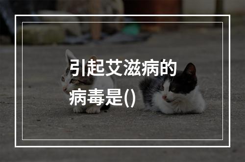 引起艾滋病的病毒是()