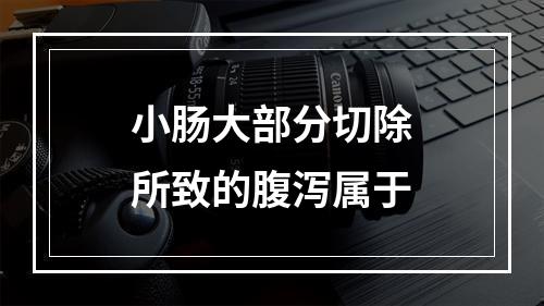 小肠大部分切除所致的腹泻属于