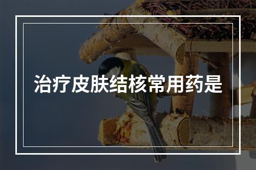 治疗皮肤结核常用药是