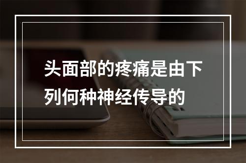 头面部的疼痛是由下列何种神经传导的