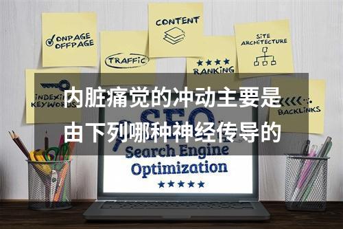 内脏痛觉的冲动主要是由下列哪种神经传导的