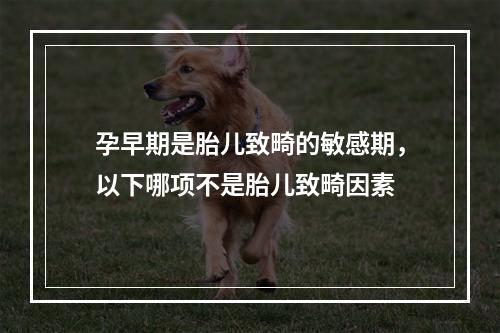 孕早期是胎儿致畸的敏感期，以下哪项不是胎儿致畸因素