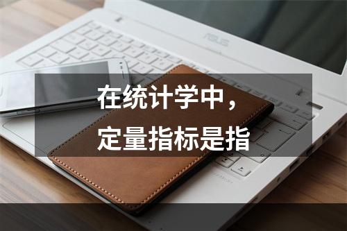 在统计学中，定量指标是指