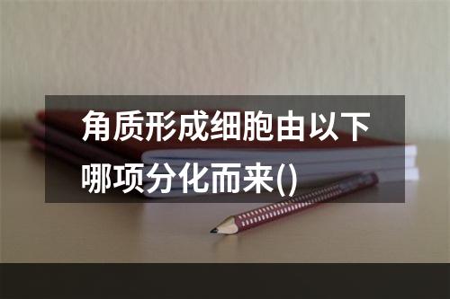 角质形成细胞由以下哪项分化而来()