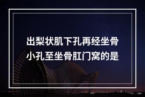 出梨状肌下孔再经坐骨小孔至坐骨肛门窝的是