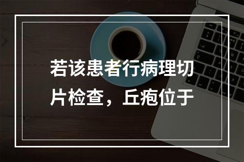 若该患者行病理切片检查，丘疱位于