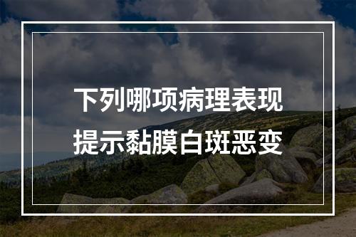 下列哪项病理表现提示黏膜白斑恶变