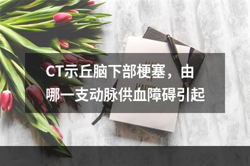 CT示丘脑下部梗塞，由哪一支动脉供血障碍引起