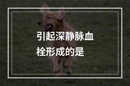 引起深静脉血栓形成的是