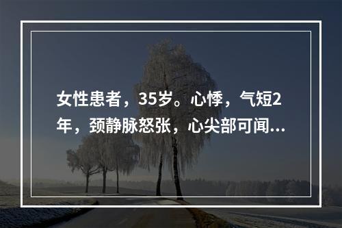 女性患者，35岁。心悸，气短2年，颈静脉怒张，心尖部可闻及舒