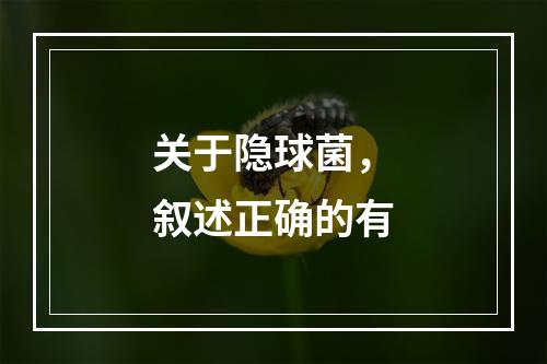 关于隐球菌，叙述正确的有