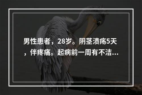 男性患者，28岁。阴茎溃疡5天，伴疼痛。起病前一周有不洁性交