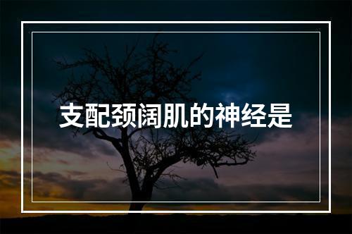 支配颈阔肌的神经是