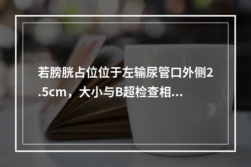 若膀胱占位位于左输尿管口外侧2.5cm，大小与B超检查相近，