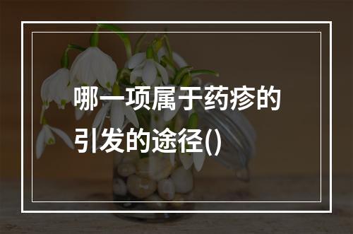 哪一项属于药疹的引发的途径()