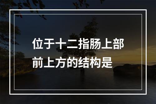 位于十二指肠上部前上方的结构是