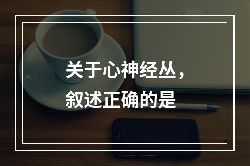 关于心神经丛，叙述正确的是