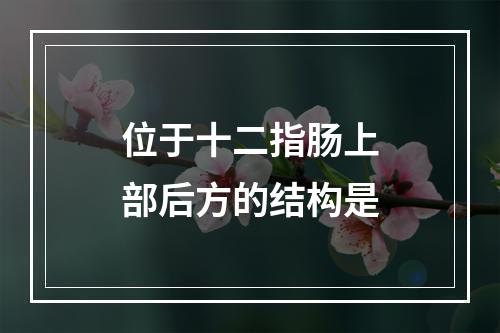 位于十二指肠上部后方的结构是